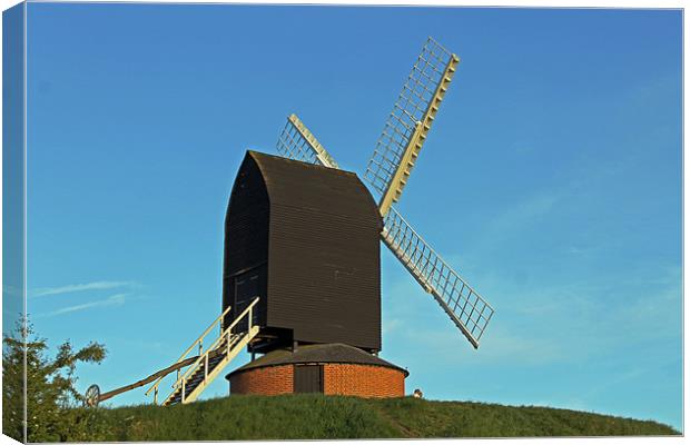 Windmill on Brill Common Canvas Print by Tony Murtagh