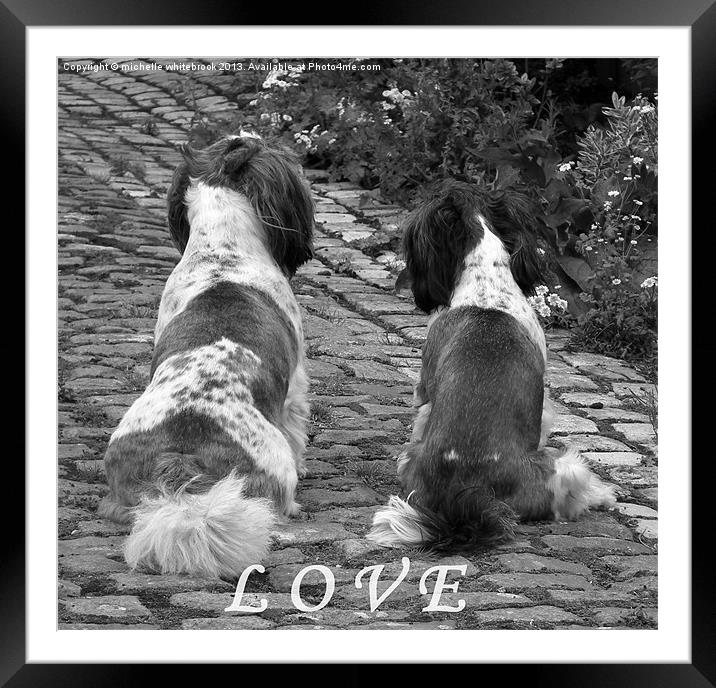 Buddy Love Framed Mounted Print by michelle whitebrook