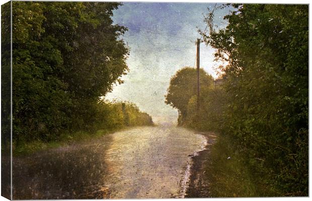 A Rainy Day Canvas Print by Dawn Cox