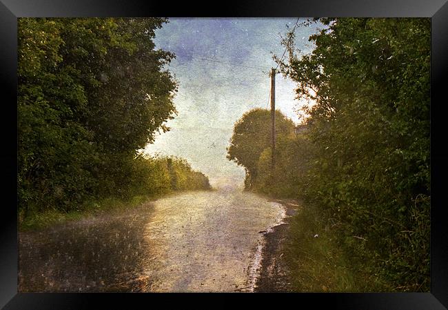 A Rainy Day Framed Print by Dawn Cox