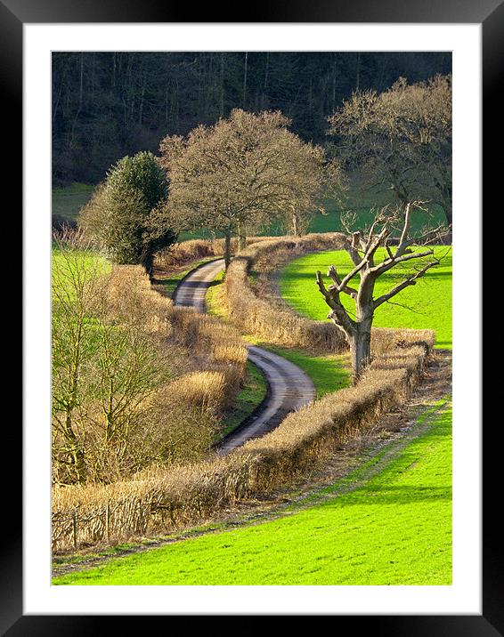 Winding Country Lane Framed Mounted Print by Tony Murtagh