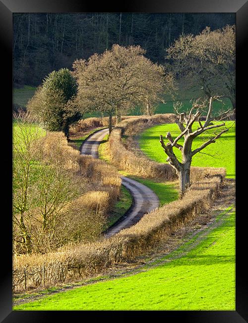 Winding Country Lane Framed Print by Tony Murtagh