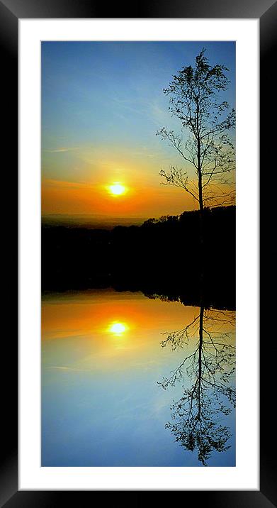 lone tree Framed Mounted Print by dale rys (LP)