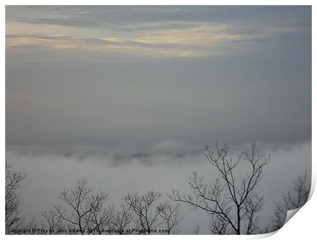 The Trees Print by Pics by Jody Adams