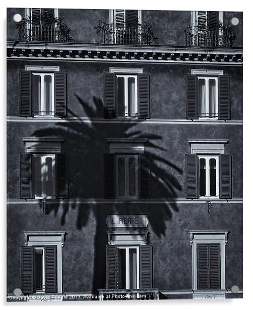 Palm Tree Acrylic by David Pringle