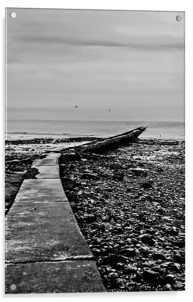 Penarth Pier Acrylic by David Martin