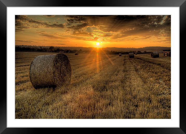 Harvest Cornfield Sunset Framed Mounted Print by Simon West