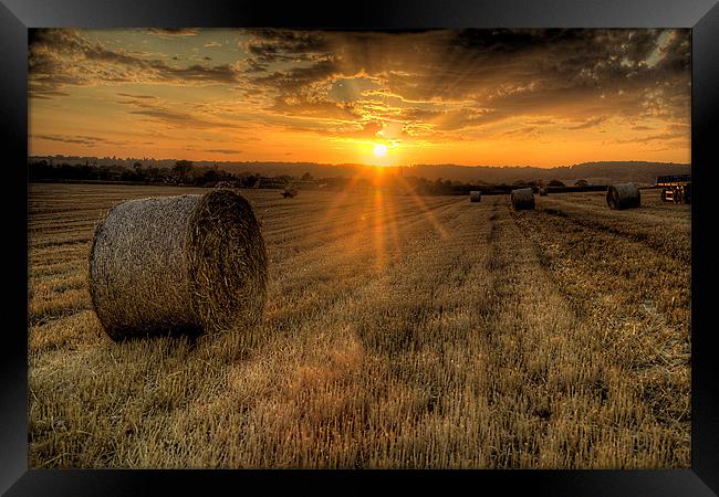 Harvest Cornfield Sunset Framed Print by Simon West