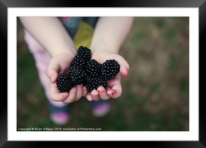 Blackberry Time Framed Mounted Print by Brian O'Dwyer