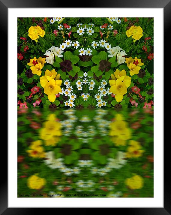 Summer Flowers in reflect Framed Mounted Print by Robert Gipson