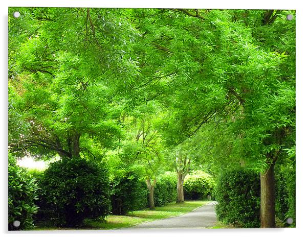 The Green Walk Acrylic by Antoinette B