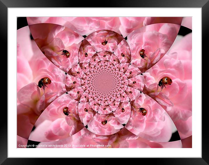 Dizzy Framed Mounted Print by michelle whitebrook