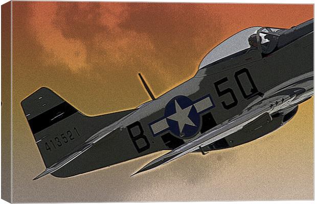 Mustang Canvas Print by Bill Simpson