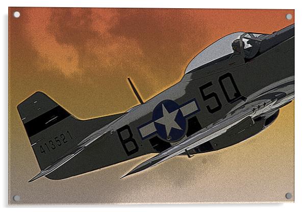 Mustang Acrylic by Bill Simpson