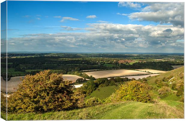 Downs to the Weald Canvas Print by Malcolm McHugh