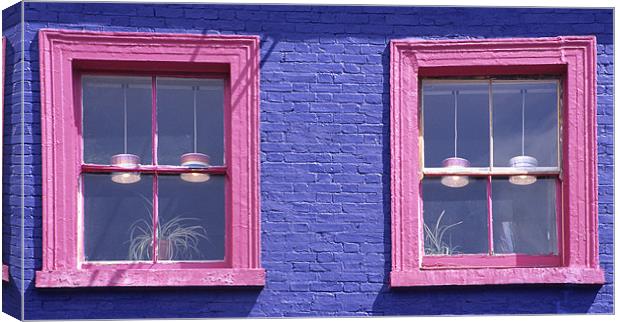 Pink Windows Canvas Print by Malcolm McHugh