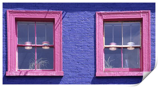 Pink Windows Print by Malcolm McHugh