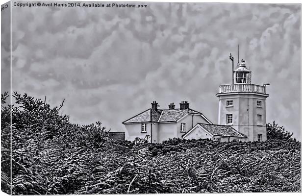 Cromer Lighthouse Black and White Canvas Print by Avril Harris