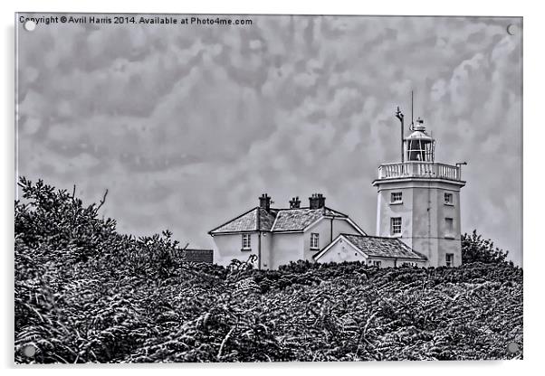 Cromer Lighthouse Black and White Acrylic by Avril Harris