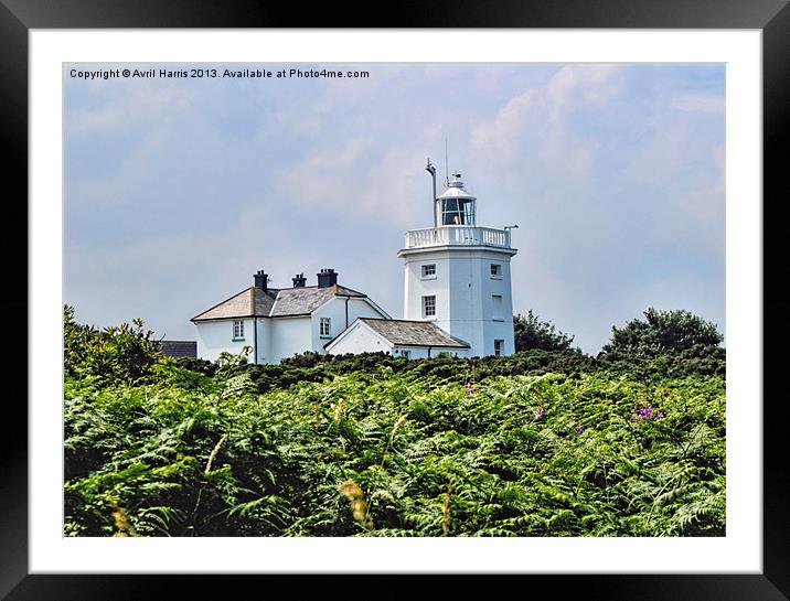 Cromer lighthouse Framed Mounted Print by Avril Harris