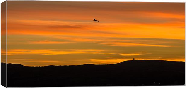 Sunset over Wee Cumbrae Canvas Print by Tylie Duff Photo Art