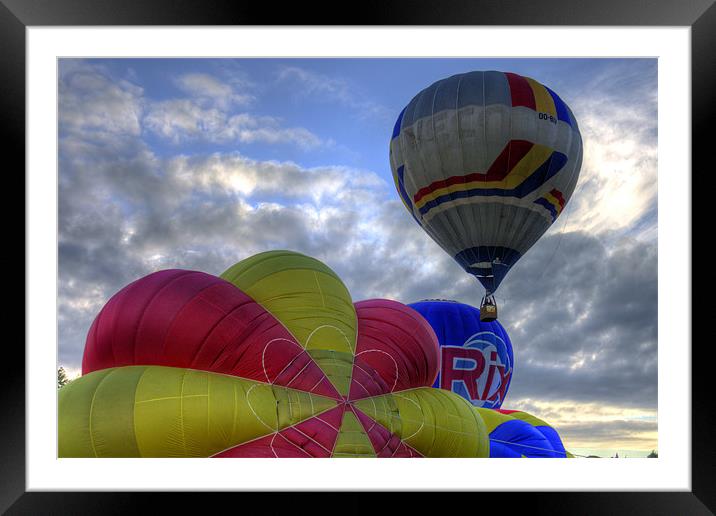 Hot Air Framed Mounted Print by Tom Gomez