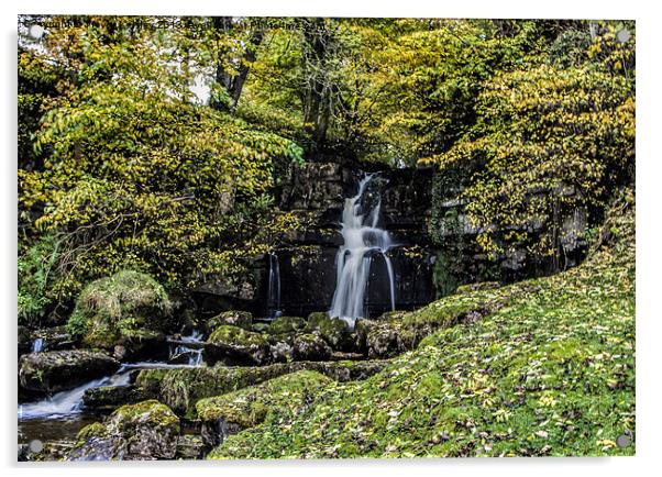 Hidden Waterfall Yorks Dales Acrylic by Trevor Kersley RIP