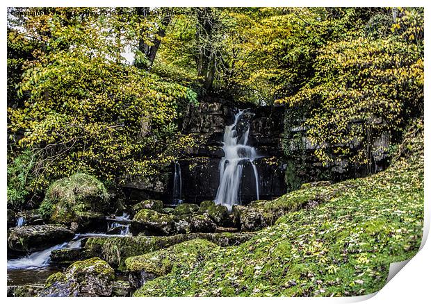 Hidden Waterfall Yorks Dales Print by Trevor Kersley RIP