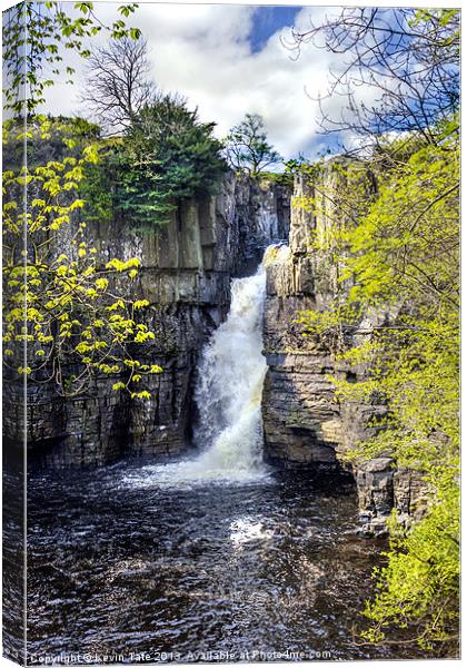 High Force Canvas Print by Kevin Tate