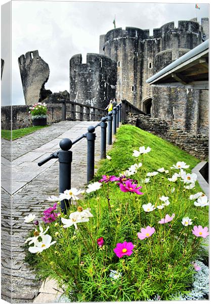 Caerphilly Castle 2 Canvas Print by Alexia Miles