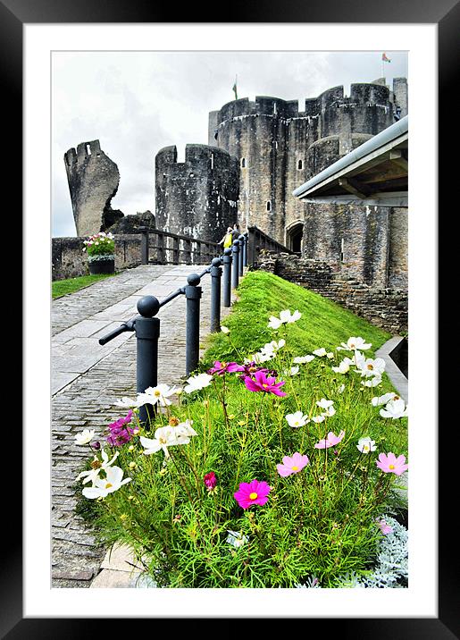 Caerphilly Castle 2 Framed Mounted Print by Alexia Miles