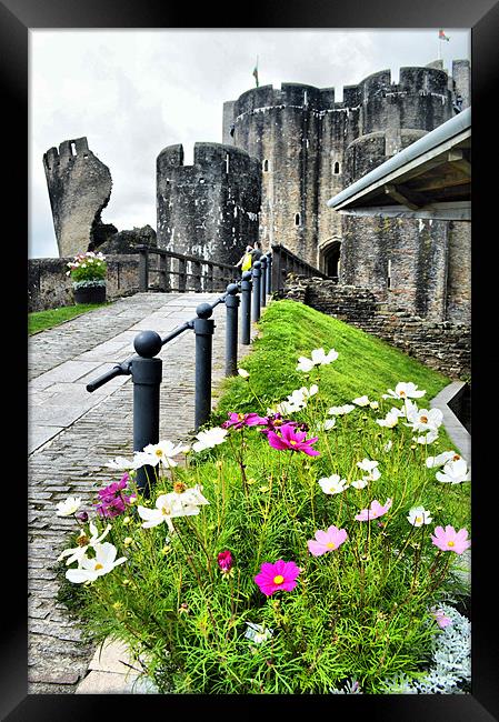 Caerphilly Castle 2 Framed Print by Alexia Miles