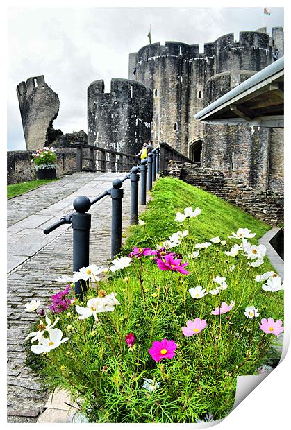 Caerphilly Castle 2 Print by Alexia Miles