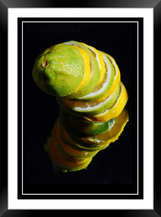 Lemon Framed Mounted Print by Art Magdaluyo