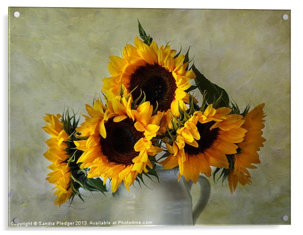 Sunflowers Acrylic by Sandra Pledger