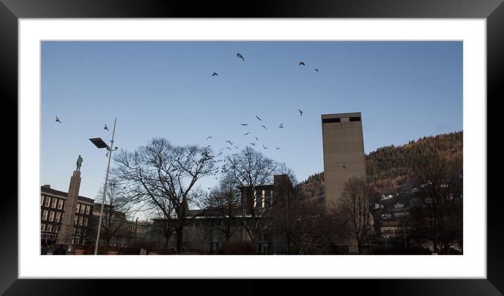 Pigeons over Bergen Framed Mounted Print by John Boekee