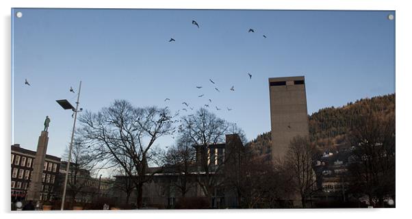 Pigeons over Bergen Acrylic by John Boekee