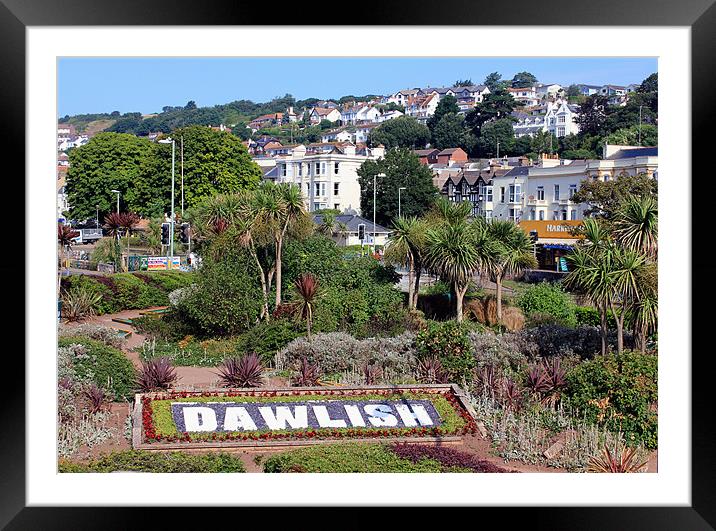 Dawlish Town Devon Framed Mounted Print by Anthony Michael 