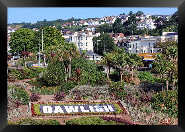 Dawlish Town Devon Framed Print by Anthony Michael 