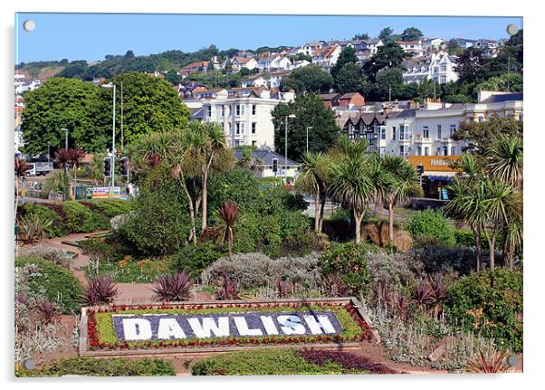 Dawlish Town Devon Acrylic by Anthony Michael 
