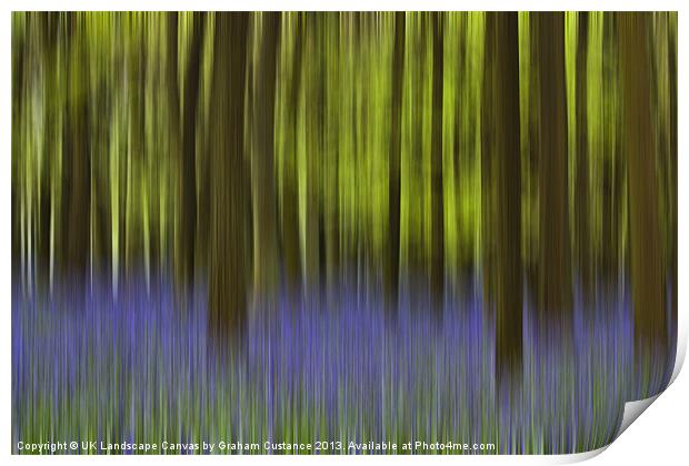 Bluebell Woods Print by Graham Custance