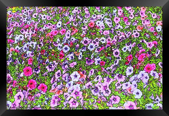 FLOWER POWER Framed Print by David Atkinson