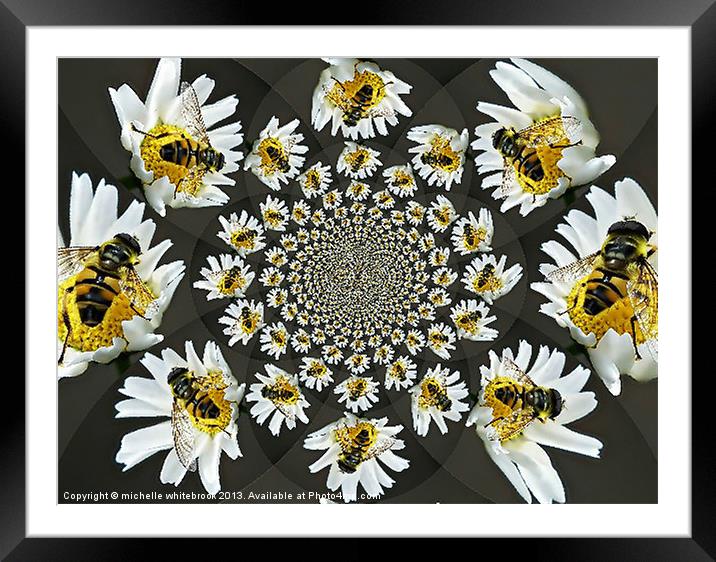 Busy Hover flys Framed Mounted Print by michelle whitebrook