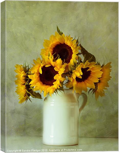 Sunflowers still life Canvas Print by Sandra Pledger
