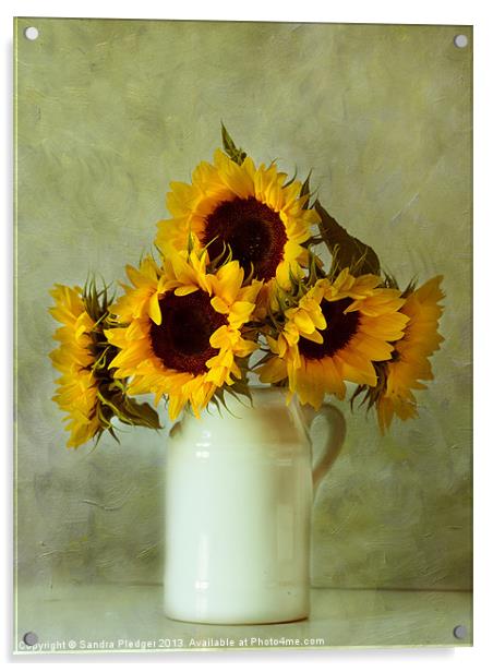 Sunflowers still life Acrylic by Sandra Pledger