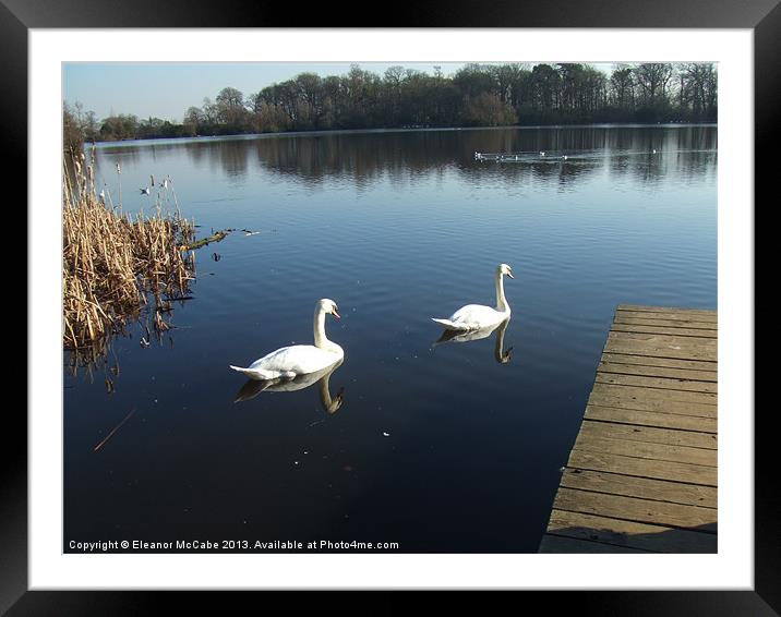 Scene of Tranquility! Framed Mounted Print by Eleanor McCabe