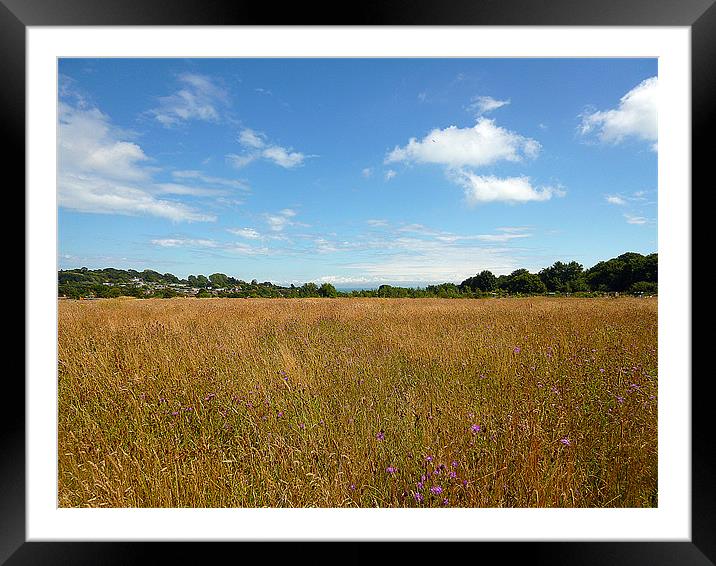 The Meadow In August Framed Mounted Print by Antoinette B
