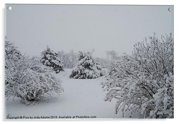 Snow Acrylic by Pics by Jody Adams