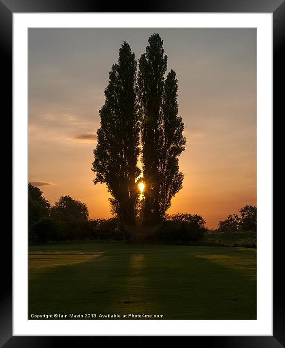 Sunset through Trees Framed Mounted Print by Iain Mavin