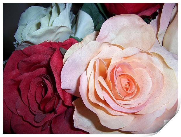 Fabric Roses Print by Les Morris